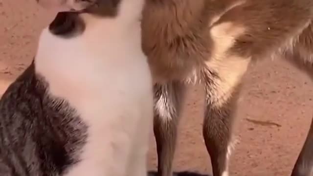 She made a new friend in their trip 😭😭😻