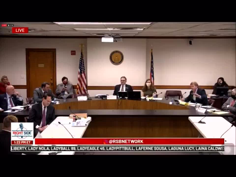 Senate Hearing: Voter Fraud in Georgia