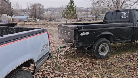 Graham Family Farm: Have You Pulled a Ford Lately