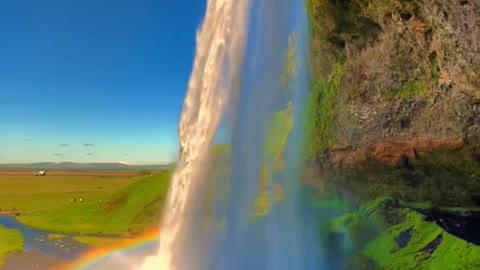 The beauty of nature