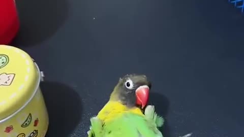 OMG😳