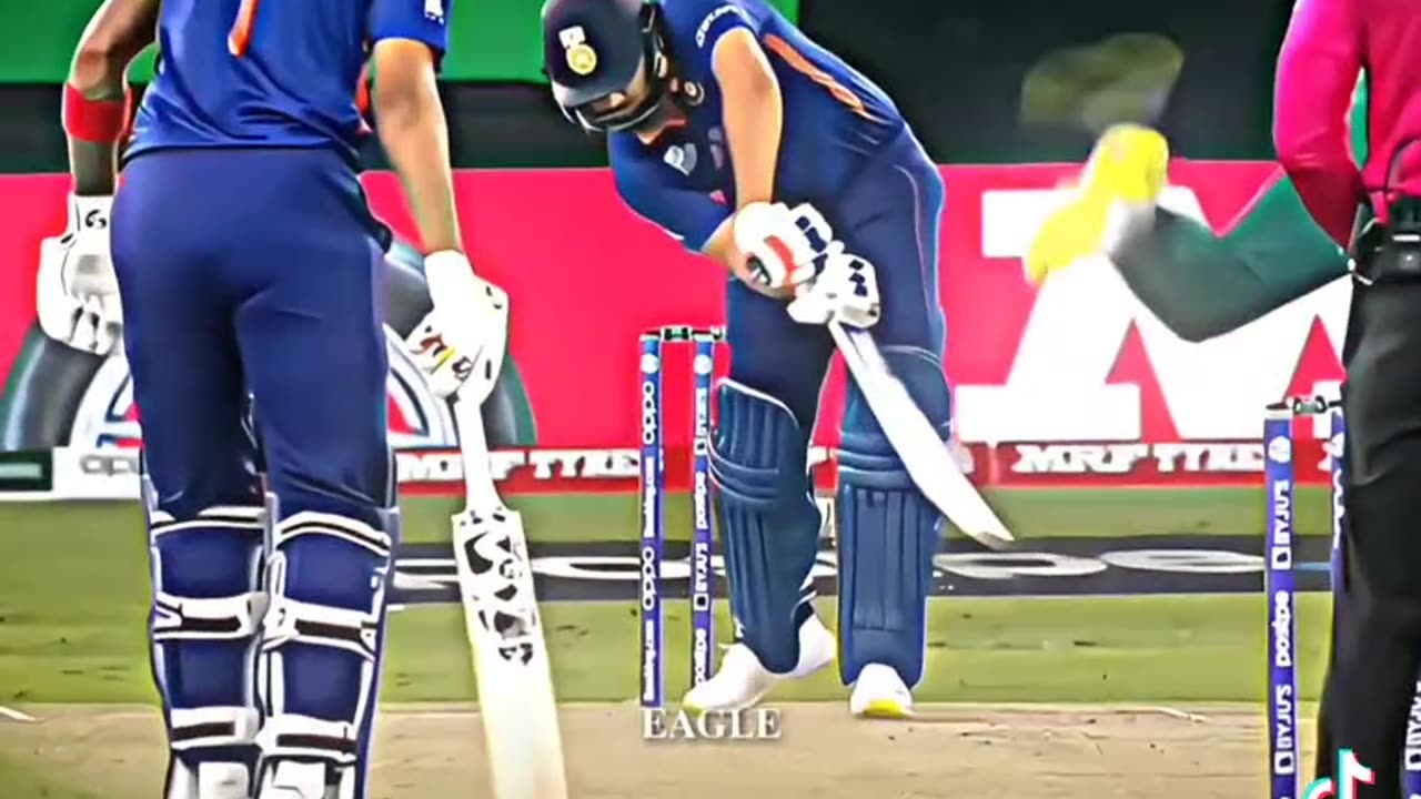 Cricket Funny Video