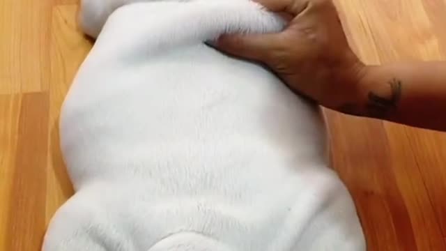 What did you think of my folds?