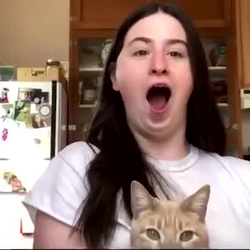 This Cat Doesn't Like "Woke" Personal Pronouns