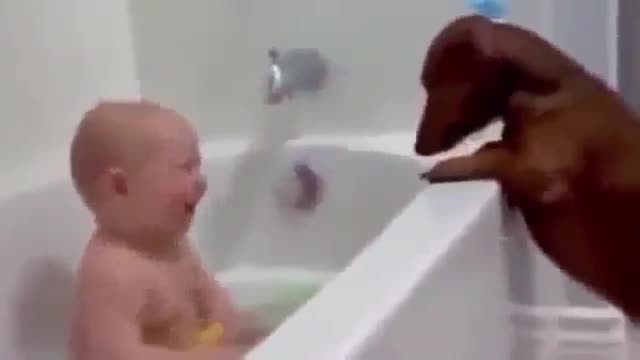 Baby Vs Dog the dog want to bath also try not to laugh