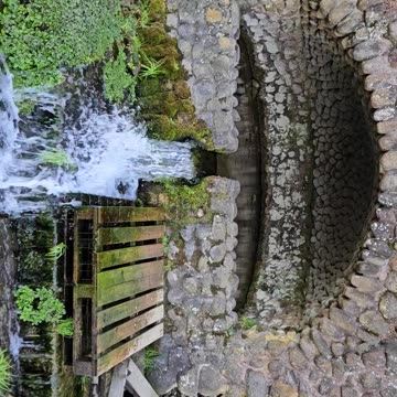 Fresh local spring water