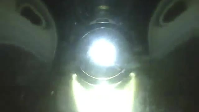 Efeito caleidoscópio usando a luz da lanterna, para festa ou mesmo discoteca! [Nature & Animals]