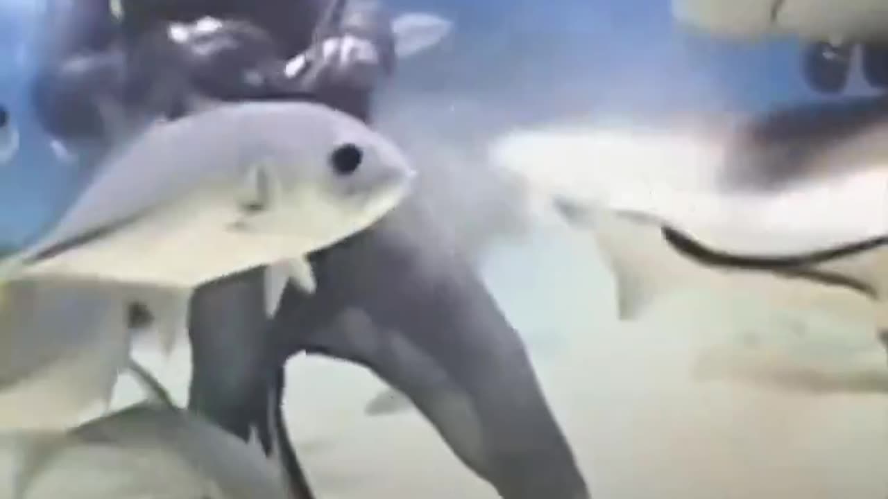 This is incredibly awesome.