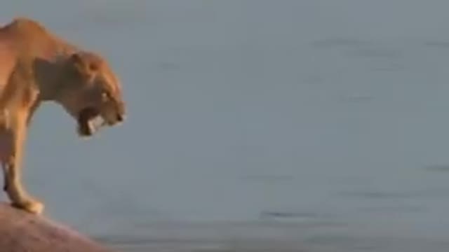 Comedy video scenes 😂😂😛😛