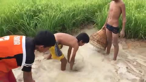 Wow! Amazing Boys Fishing How To Catch Fish In Rice Farm With Hand In Cambodia