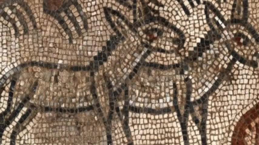 Bible scenes uncovered in ruins of ancient synagogue