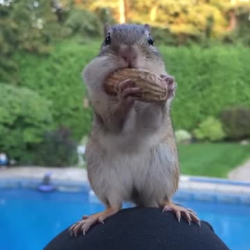 Try not to laugh 😂😂