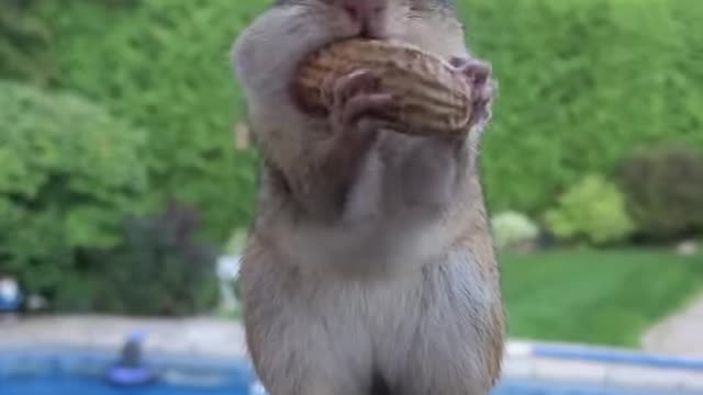 Try not to laugh 😂😂