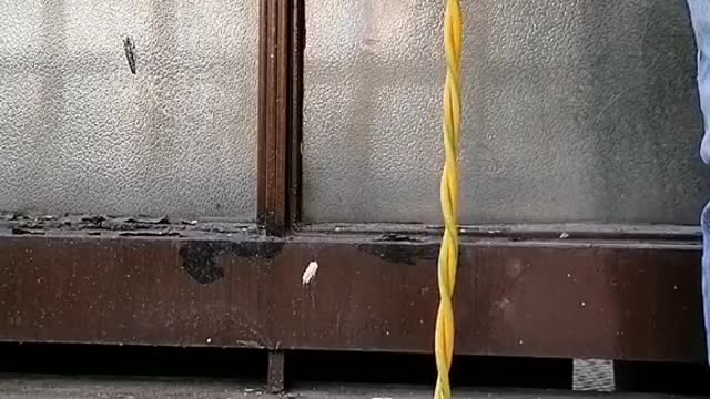 funny|prank|jokes|funny jokes|dad jokes|funny memes|funny video|fun|laughing|funny animal|knock