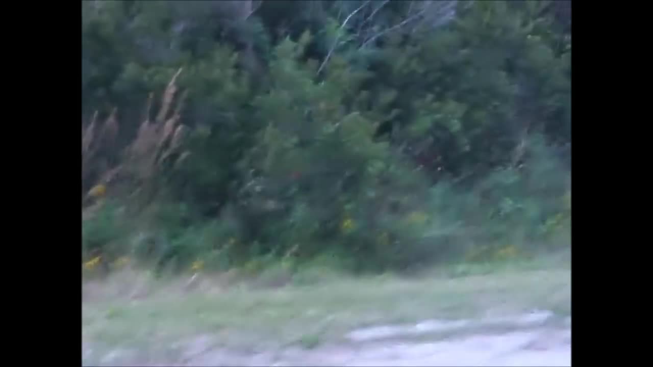 5 year old does insane 4 wheeler tricks on a Foreman 450