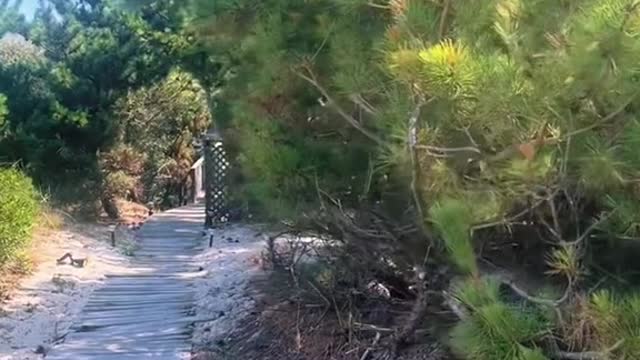 Long Islanders, have you ever visited Ocean Bay Park?