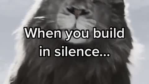 Lion Funny Video | Animal Lovers | Motivation quotes