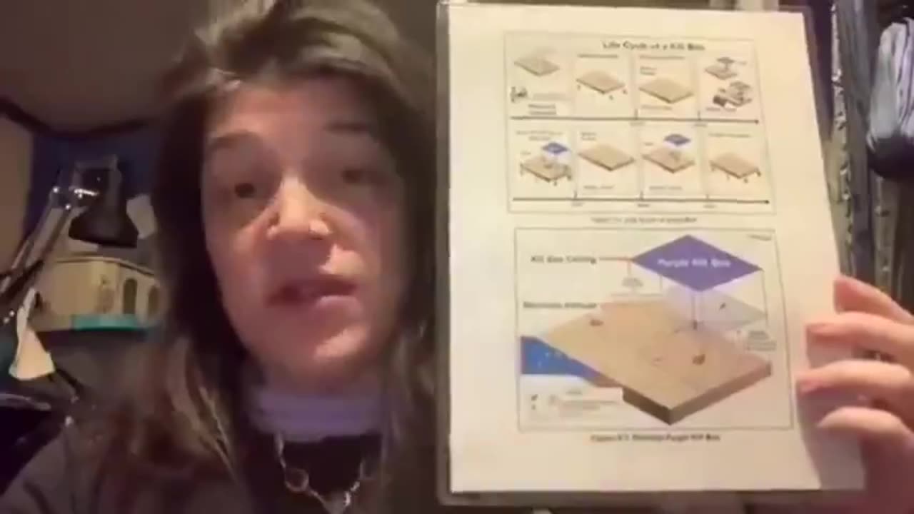 Sabrina Wallace explains the ''Kill Box'' and how they've been harvesting energy from us