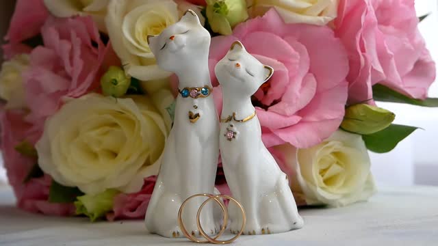 wedding kitty ( exciting love story)