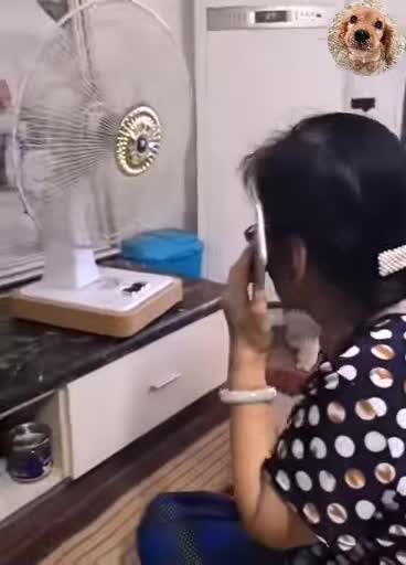 Hahaha, he is so smart