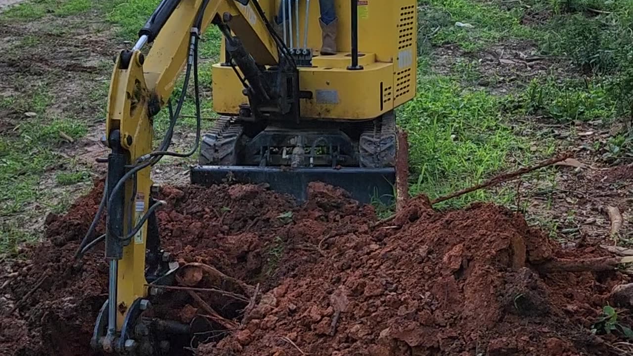 7-Year-Old Helps Dad Plant Trees With Mini Excavator