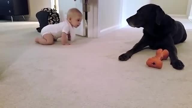 Baby's first crawl with her dog... what a cute ending!