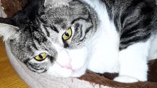 lived on the street, now at home