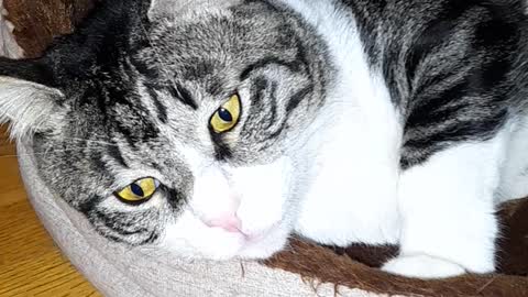 lived on the street, now at home