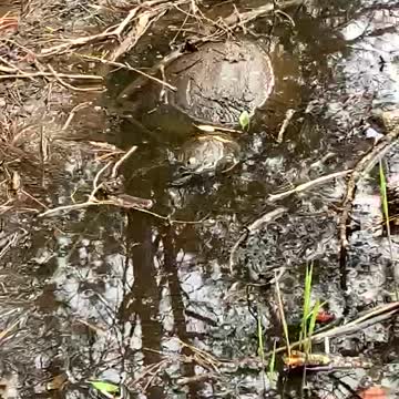 WHEN YOU PLAY HIDE AND SEEK WITH YOUR 3 YR OLD NEPHEW