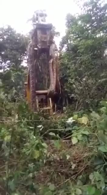 Yep, that's a BIG Snake