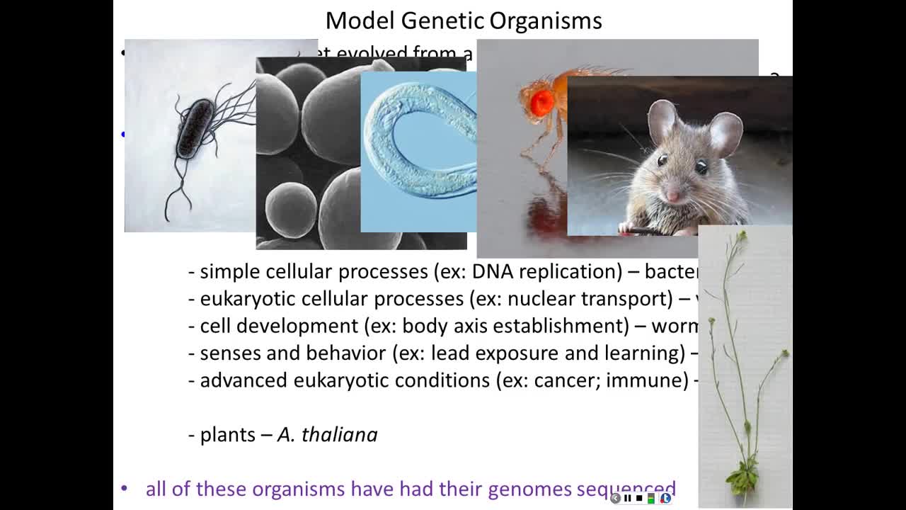 Globalists are so excited about Genetics (eugenics). Here's an intro.