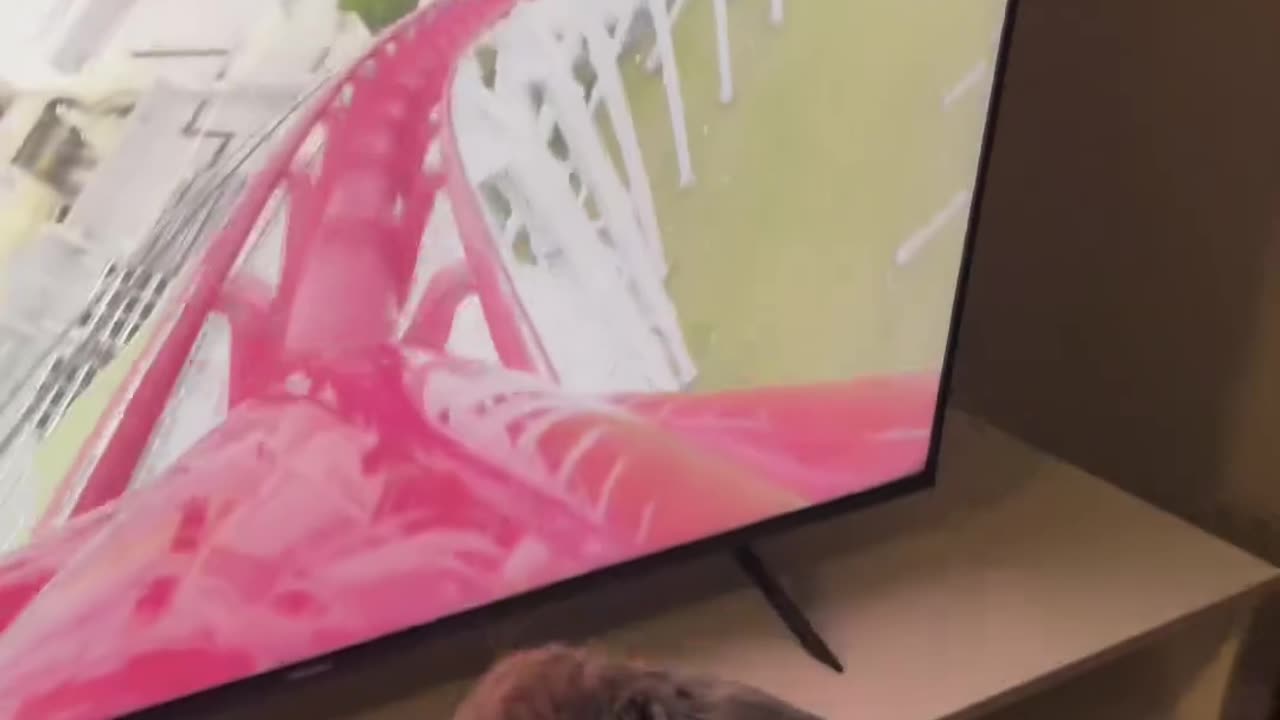 CAT raiding rollercoster