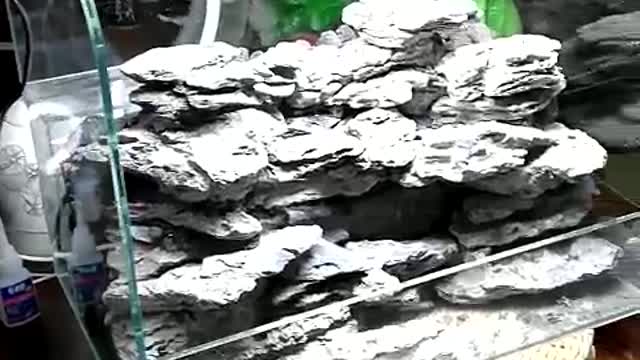 Landscape works in fish tanks(19)