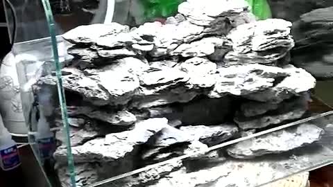 Landscape works in fish tanks（19）