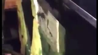 Georgia Election Fraud