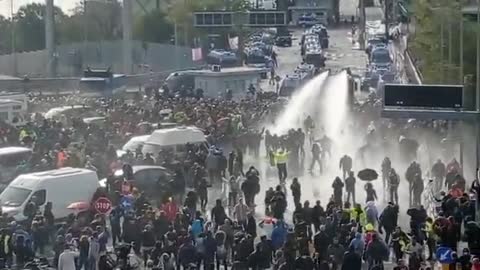 The port of Trieste Italy the people fighting for our freedom