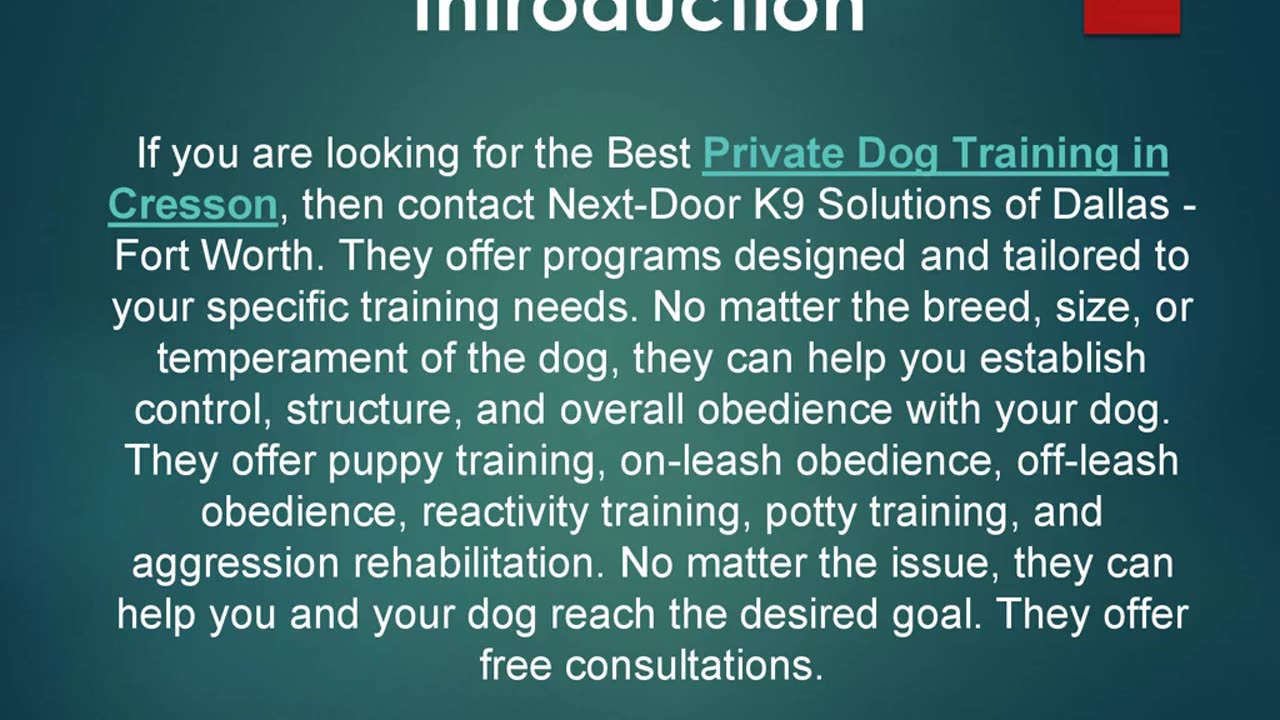 Best Private Dog Training in Cresson