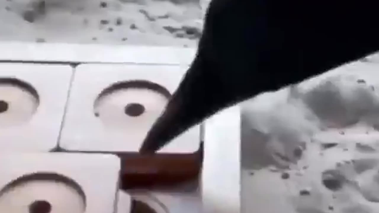 When a crow is so smart