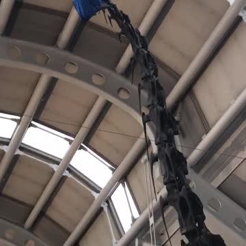 A Masked Brontosaurus