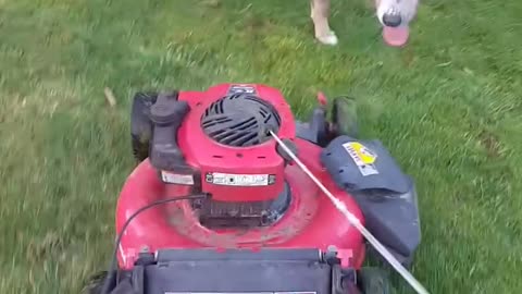 tank eats lawnmower