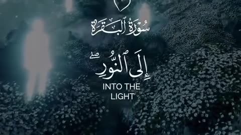بلغوا عني ولو آية