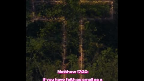 Matthew 17:20