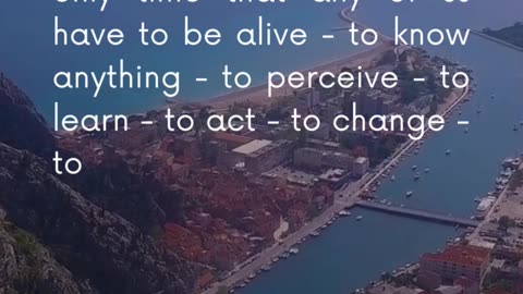 Have you considered the wisdom in embracing the present moment?