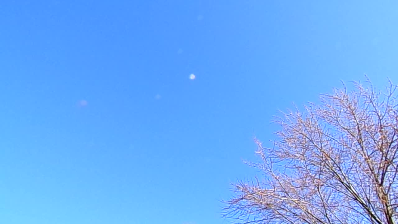 What is that? Did I catch something?