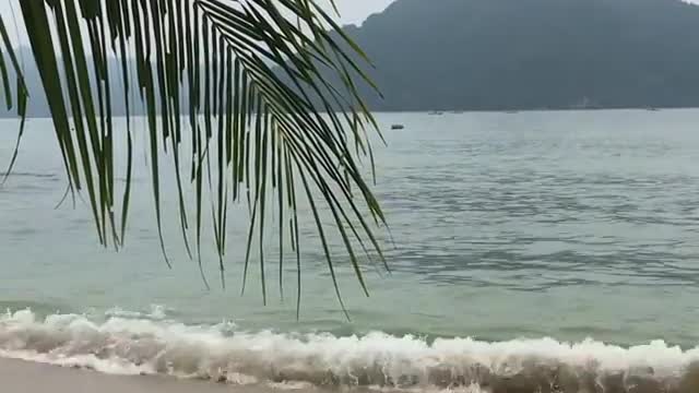 Watch and enjoy the sea waves