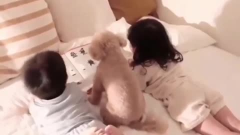 beautiful kids and dogs