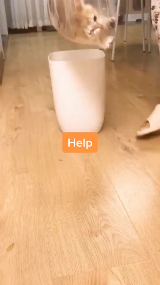 I got caught.Don’t throw me away.plz🥺🥺🥺