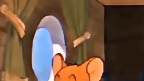 Tom and jerry looks surprised