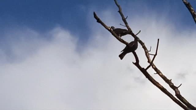 Repos du guerrier