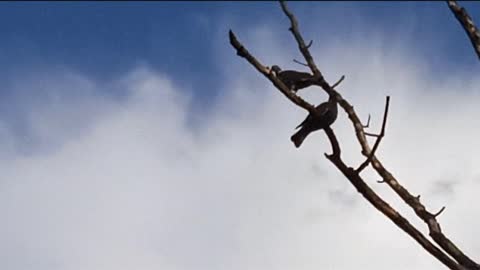 Repos du guerrier